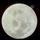 Illustration for article titled Rare photos reveal fascinating views of the Apollo 11 moon landing